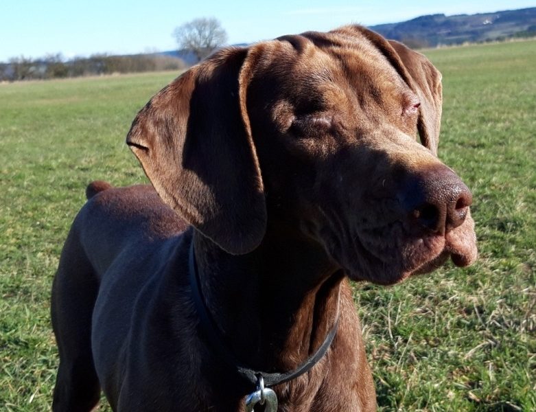 Rocky und Tania update 17.03.19
