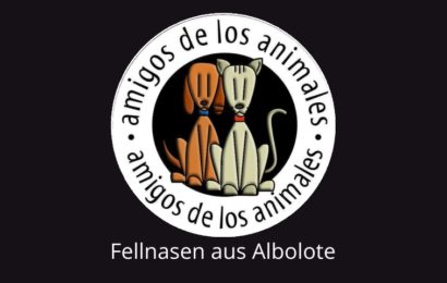 Infos über unser spanisches Partner-Tierheim Albolote/Granada – der neue Flyer ist da!