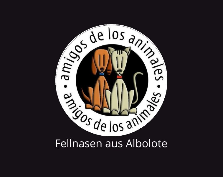 Newsletter unseres spanischen Partner-Tierheims Albolote/Granada August 2022