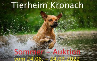 Online-Sommer-Auktion des Tierheims Kronach vom 24.06.22 -24.07.22  –  Zu finden bei Facebook „Auktionen Tierheim Kronach“
