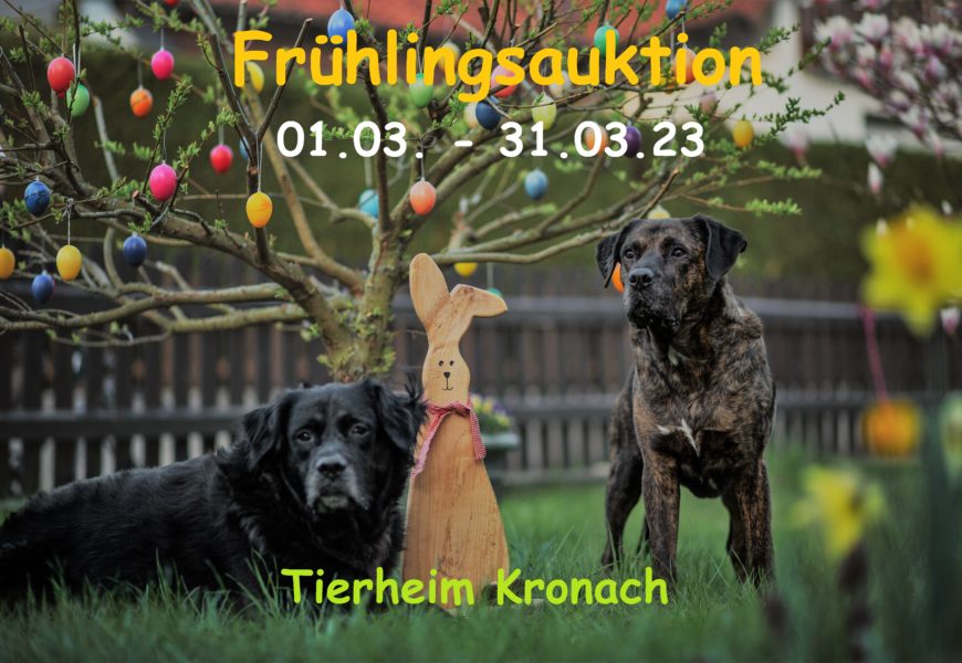 Online-Frühlingsauktion des Tierheims Kronach vom 01.03. – 31.03.23 – Zu finden bei Facebook „Auktionen Tierheim Kronach“