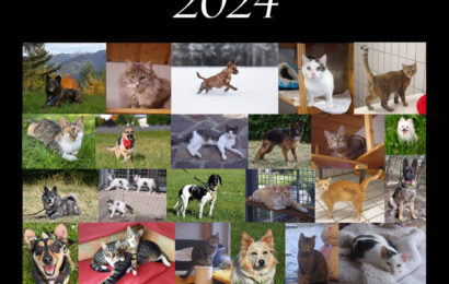 Der Original Tierheim-Kronach-Kalender 2024 – ein tierisches Weihnachtsgeschenk für alle Tierfreunde!