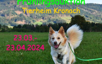 Online-Frühlingsauktion des Tierheims Kronach vom 23.03. – 23.04.24 – Zu finden bei Facebook „Auktionen Tierheim Kronach“