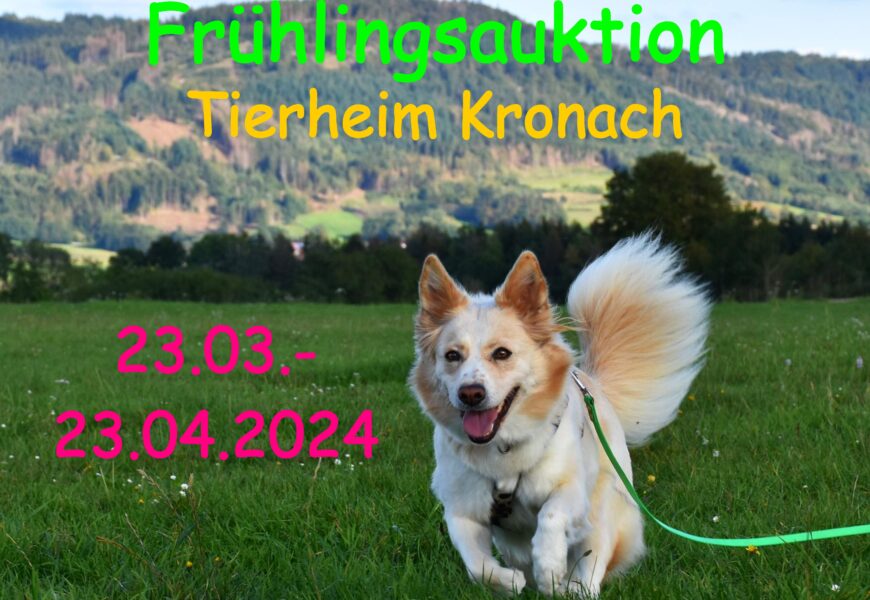 Online-Frühlingsauktion des Tierheims Kronach vom 23.03. – 23.04.24 – Zu finden bei Facebook „Auktionen Tierheim Kronach“