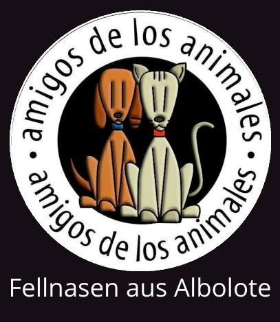 Newsletter unseres spanischen Partner-Tierheims Albolote/Granada August 2024