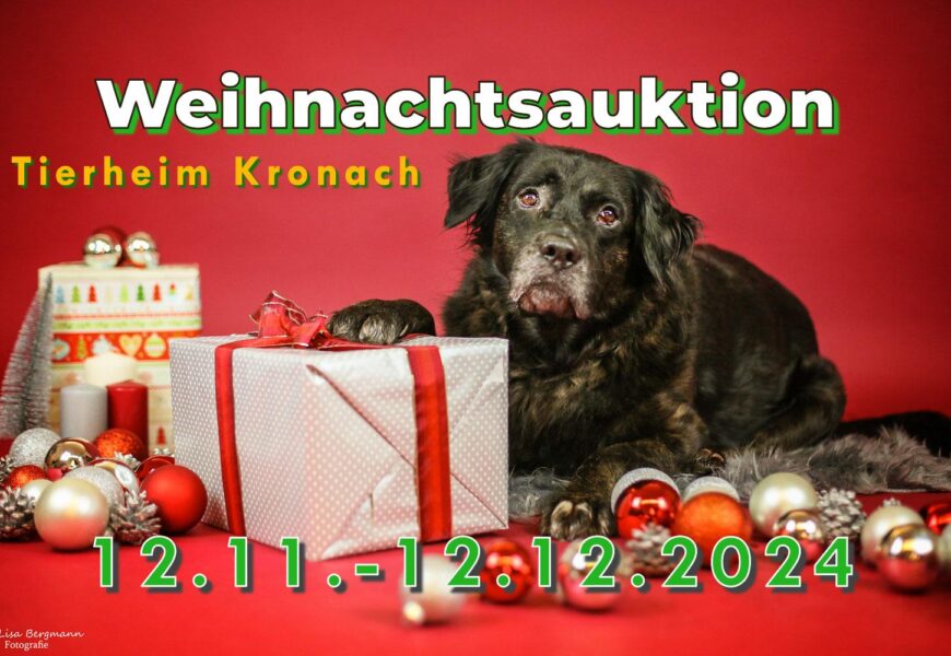 Online-Weihnachtsauktion des Tierheims Kronach vom 12.11. -12.12.24 – Zu finden bei Facebook „Auktionen Tierheim Kronach“