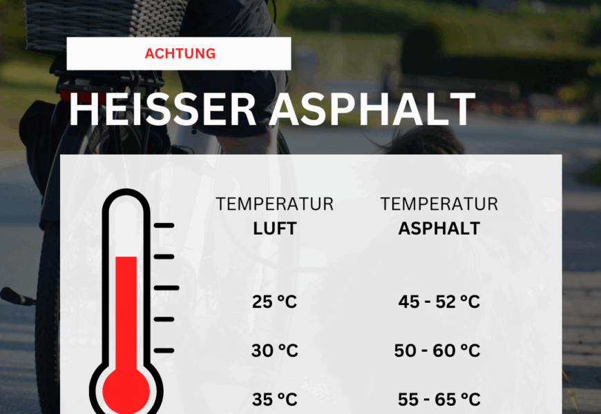 Tierleid auf zwei Rädern – wenn der Hund im Sommer mithalten muss.